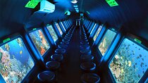 Semi Submarine Cruise Experience with Transfer in Hurghada 