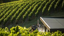 Private Tasting Expedition Along Romania’s Most Famous Wine Route