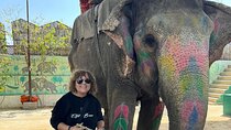 Private Jaipur Day Tour with Driver and Guide- All Inclusive