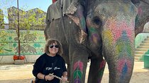Private Jaipur Day Tour from Delhi- All Inclusive