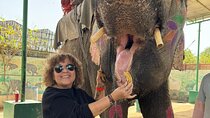 Private 5 Days tour to Delhi Agra Taj Mahal Ranthambore Jaipur