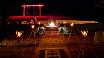 Merzouga Desert Camel Trekking