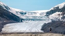 Calgary to Jasper: Ultimate Canadian Rockies Experience