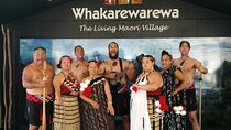 From Auckland: Rotorua Māori Village & Hot Springs with Haka 