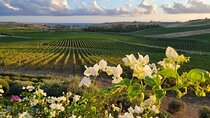 8 Days Private Sicily Tour:" Secrets of non-tourist Sicily"