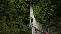 Guided Vancouver Hiking Highlights Day Tour with Gondola Download