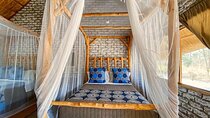 5-Days Victoria Falls, Hwange and Chobe National Park