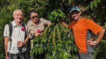 Sarangkot Village Coffee Culture and Authentic Local Life Tour