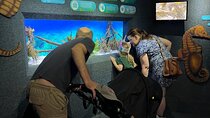 Ultimate Family Adventure: Cape Town and Beyond