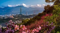 Private Tour: Taipei Timeless Treasures Tour (The Best of Taipei)