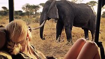 11 Days Kenya Safari Tour on 4x4 Landcruiser Jeep