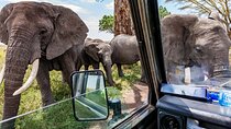 6 Days Masai Mara Serengeti and Ngorongoro on 4x4 Landcruiser 