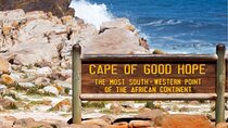 Full Day Private Cape Peninsula & Colony of African Penguins Tour