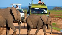 6Days Aberdare Solio Ranch Lake Nakuru and Masai Mara on 4x4 Jeep