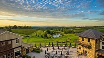 Luxury Wine Tour in Washington DC to Loudoun County Vineyards