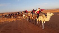 3-Days Desert Tour From Fes to Marrakech 