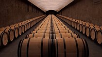 Private Bordeaux wine tour with wine pro 8h (up to 7 people)