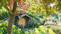 Hobbiton Movie Set Small Group Tour from Auckland