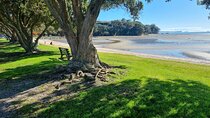 Auckland Town and Country Delights Tour