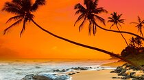 11 Days to Explore Sri Lanka