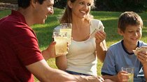 3 Day Garden Route Private Safari Tour From Cape Town