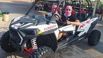 Desert Safari with BBQ Dinner and Camel Ride Quad Bike Optional 