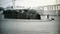 Minibus Tales of True Crime in Victorian Dunedin