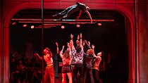 "Dear San Francisco"- An Acrobatic Love Letter from The 7 Fingers