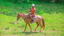 Buggy, Horse and Zip Line with Lunch included from Punta Cana