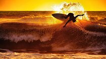 Galle & Bentota Day Tour with River safari From Colombo & Negombo