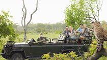  6 Days Cape Town, Victoria Falls and Chobe 