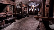 Small Carpathian Wine Tasting and Red Stone Castle Tour