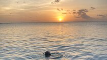 Private Sunset and Snorkel Cruise