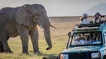 Amboseli National Park Full Day Guided Tour