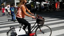 3 Hours Small Group Biking Tour in Copenhagen