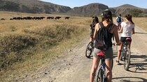 Hell's Gate National Park Bike Tour and Boat Riding Lake Naivasha