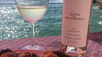 Private Wine Tasting Tour In Lisbon Wine Region