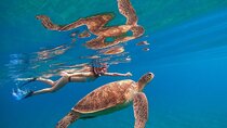 Sea Trip by Boat to Marsa Mubarak – Snorkeling in Marsa Alam