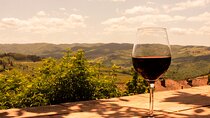 Valpolicella Wine & Olive Oil Full Day Private Tour from Venice