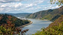 Private Wine Tour Grape Escape Rhine Valley from Frankfurt