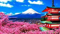 Private Mount Fuji and Hakone sightseeing Day trip with guide 