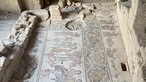 From Amman: Group Day Tour Madaba Mount Nebo & Dead Sea to Amman 