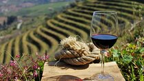 Exclusive Douro Valley: Visit 3 Wineries, 9 Wine Tastings & Lunch