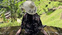 Amazing Ubud Half Day Private Tour All Inclusive