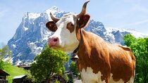 Zurich: Chocolarium and Appenzeller Schaukäserei Tour