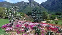  Cape Town - Kirstenbosch Botanic Gardens and City Tour