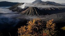 Shared Bromo Tour Start From Malang - 1D