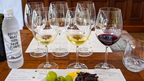 Cape Winelands group tour 