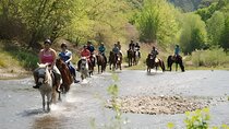 Marmaris Horse Safari