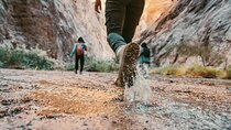 Day Trip To Wadi Shab and Bimmah Sinkhole